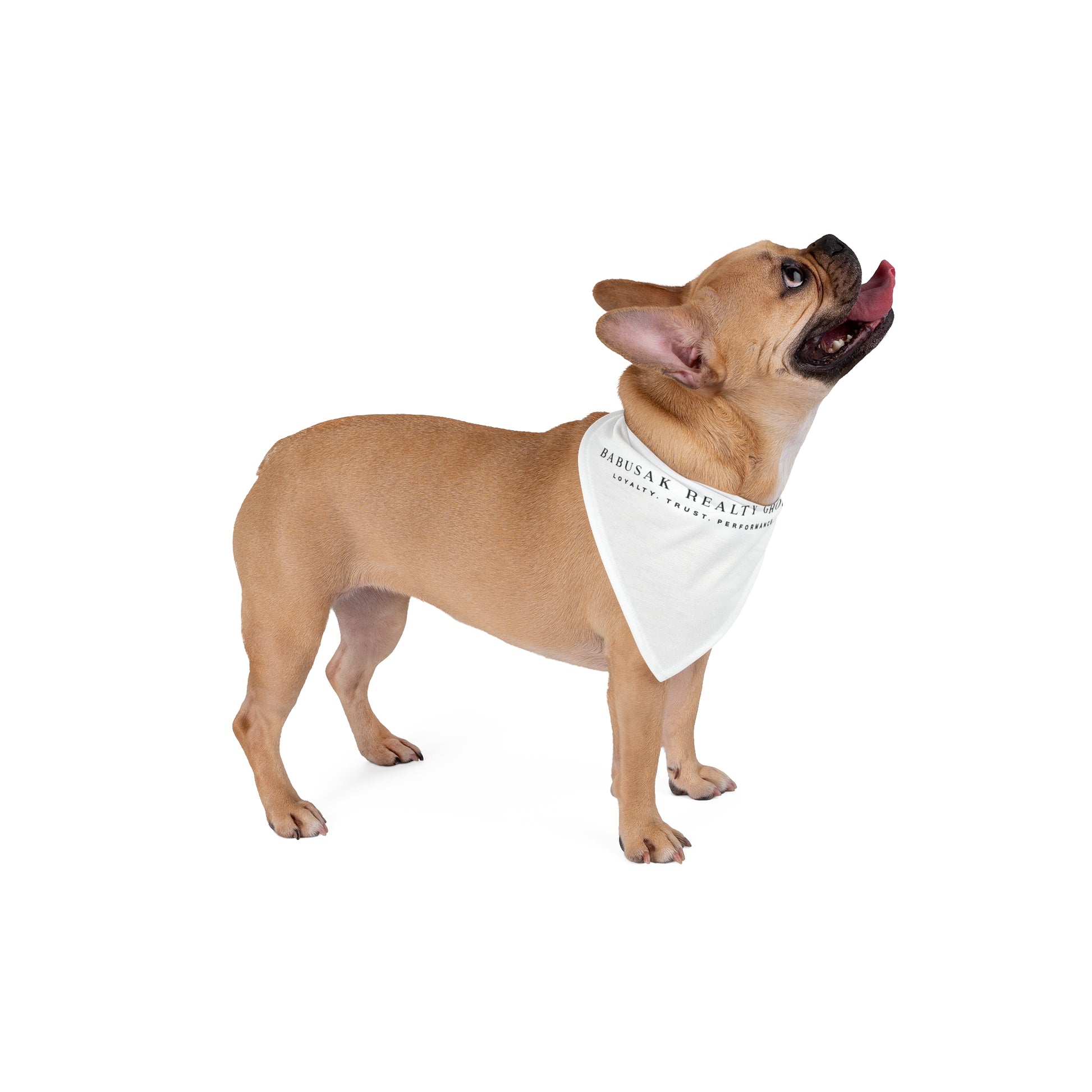 BRG  Pet Bandana - Stylish Dog Accessory for Walks, Dog Events, Pet Birthdays, and More